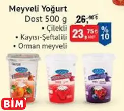 DOST MEYVELİ YOĞURT DOST MEYVELİ YOĞURT